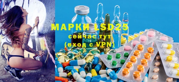 ПСИЛОЦИБИНОВЫЕ ГРИБЫ Алексин