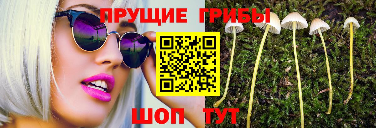 Псилоцибиновые грибы GOLDEN TEACHER  Вход с VPN  Березники 
