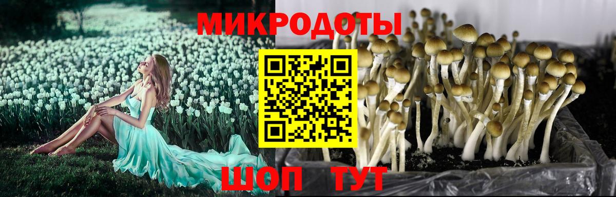 Псилоцибиновые грибы мухоморы Березники